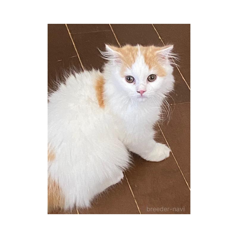 ロンくん1枚目